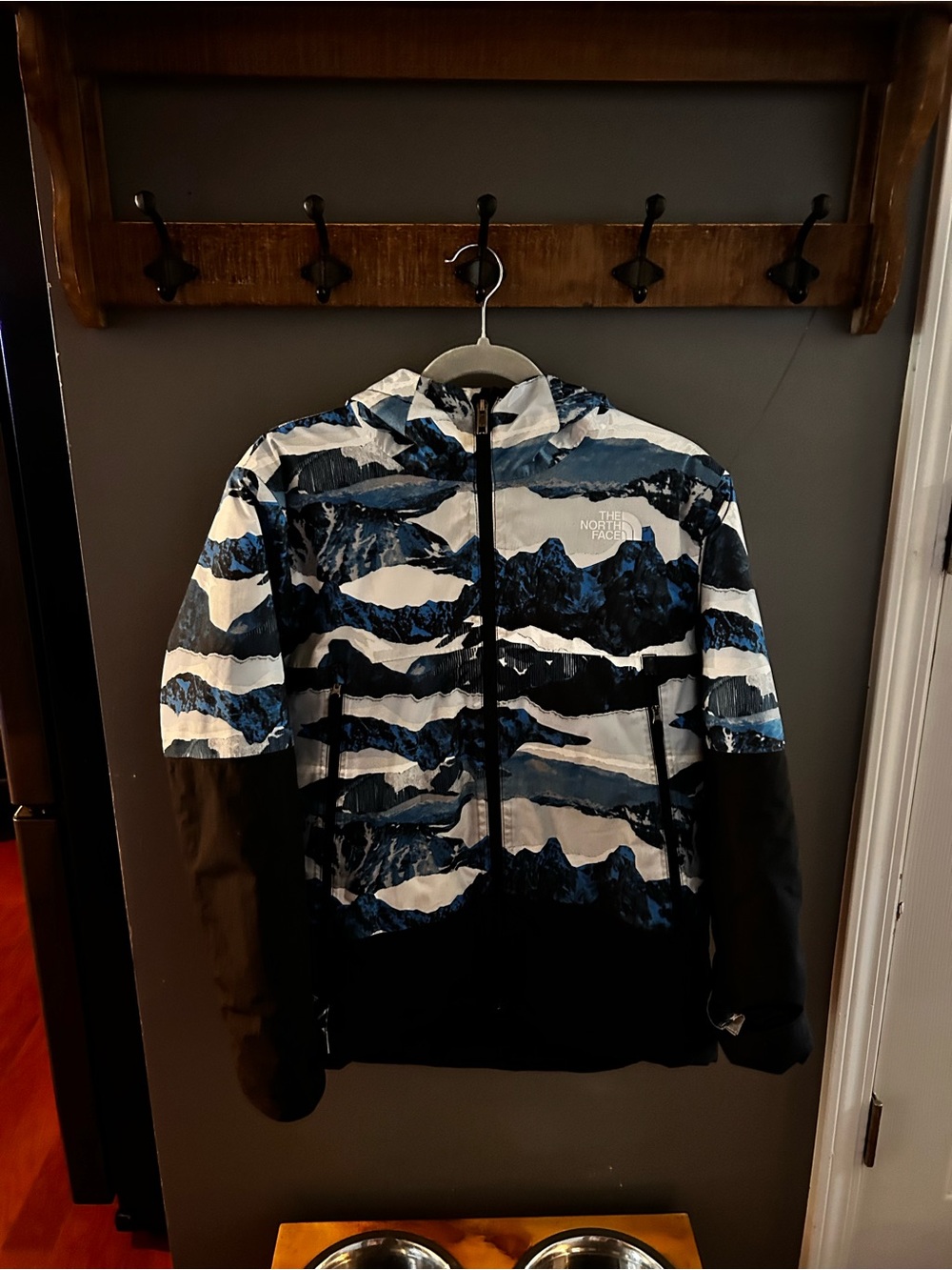 The North Face Blue, White & Black Hooded Mountain-Print Puffer Jacket
